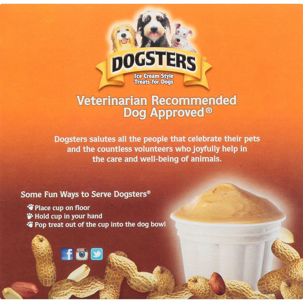 Ice Cream Style Dog Treats R987159