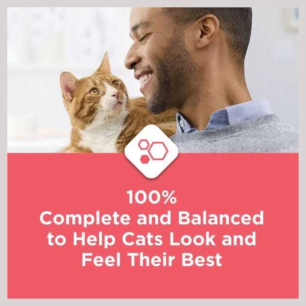Cat Chow Complete with Salmon High Protein Dry Cat Food S8007