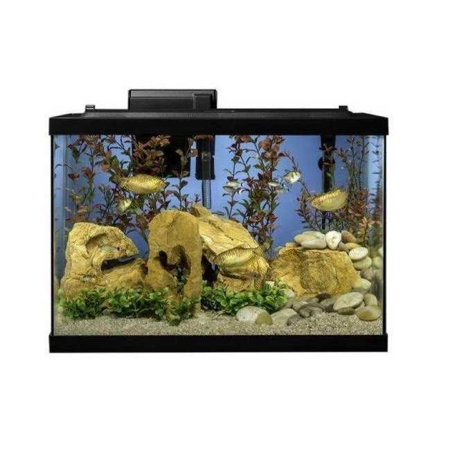 20 Gallon Aquarium Fish Tank Kit H4014