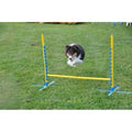 Dog Training Pedestal Jump W670594