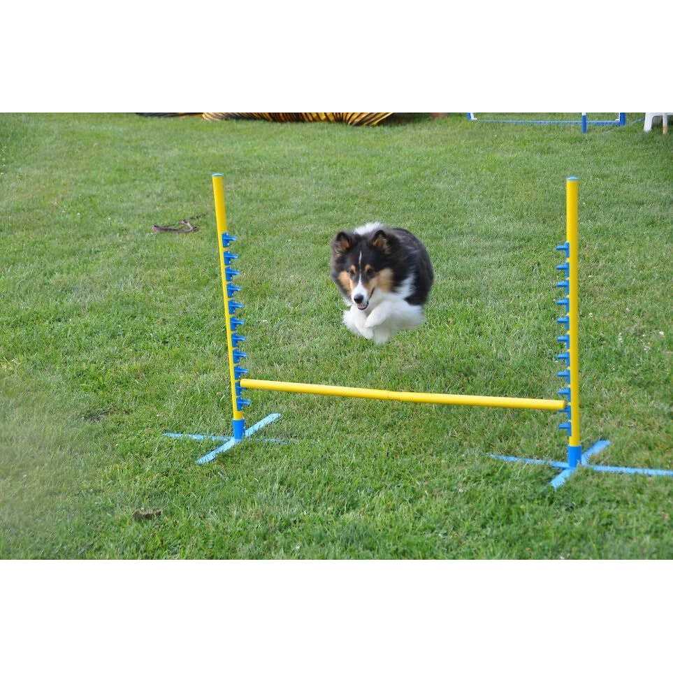 Dog Training Pedestal Jump W670594