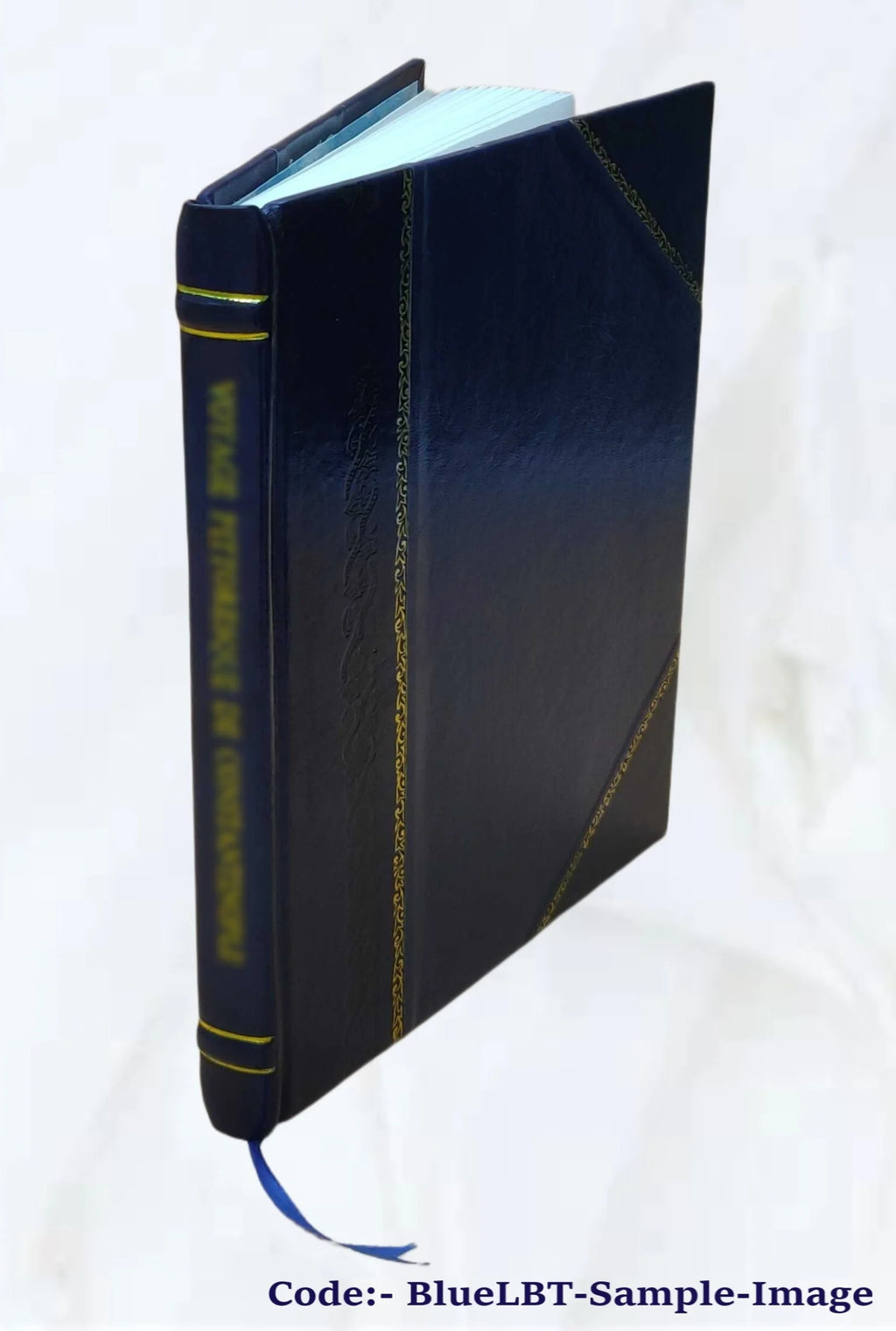 Sir Walter Scott and the border minstrelsy 1910 Leather Bound E746717
