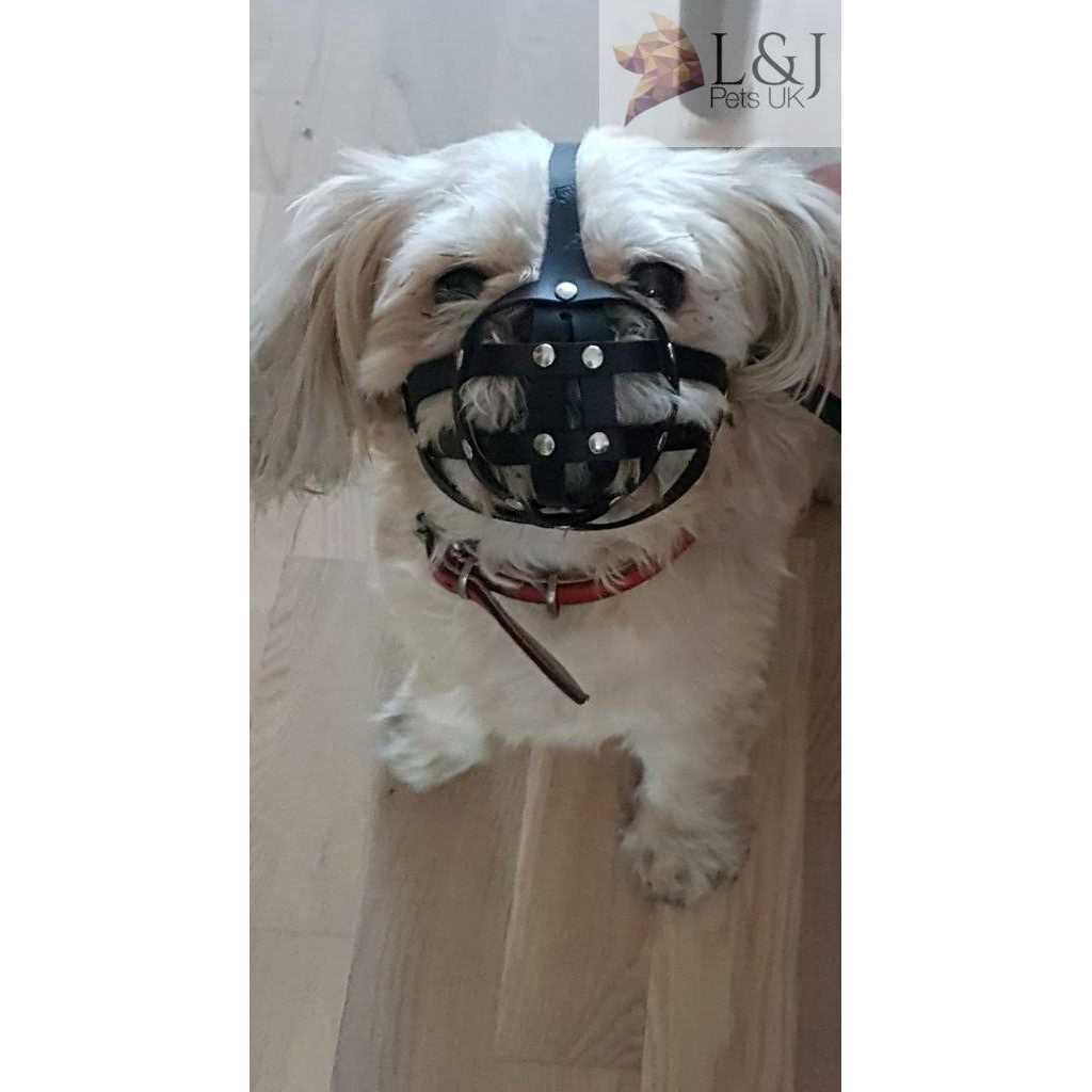 Leather Dog Muzzle U5248