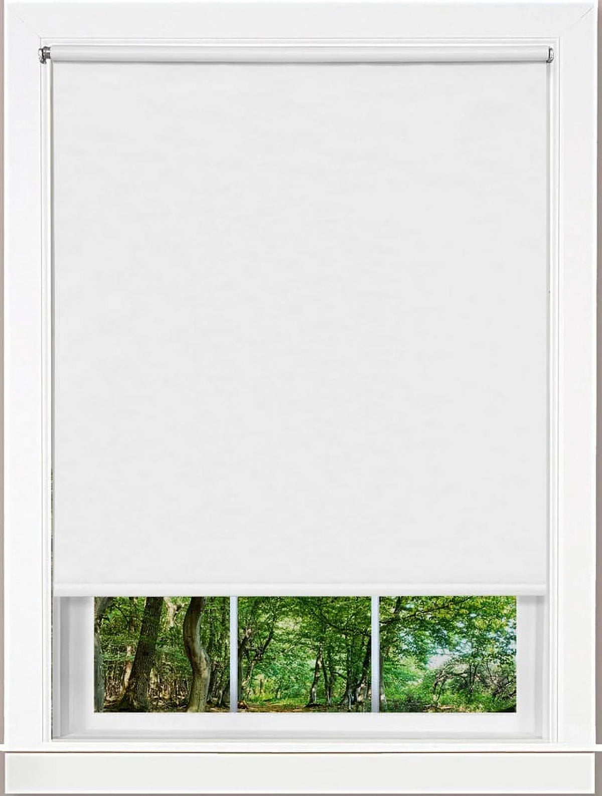 Cordless Light Filtering Vinyl Roller Window Shades, 4" x 39" F317213