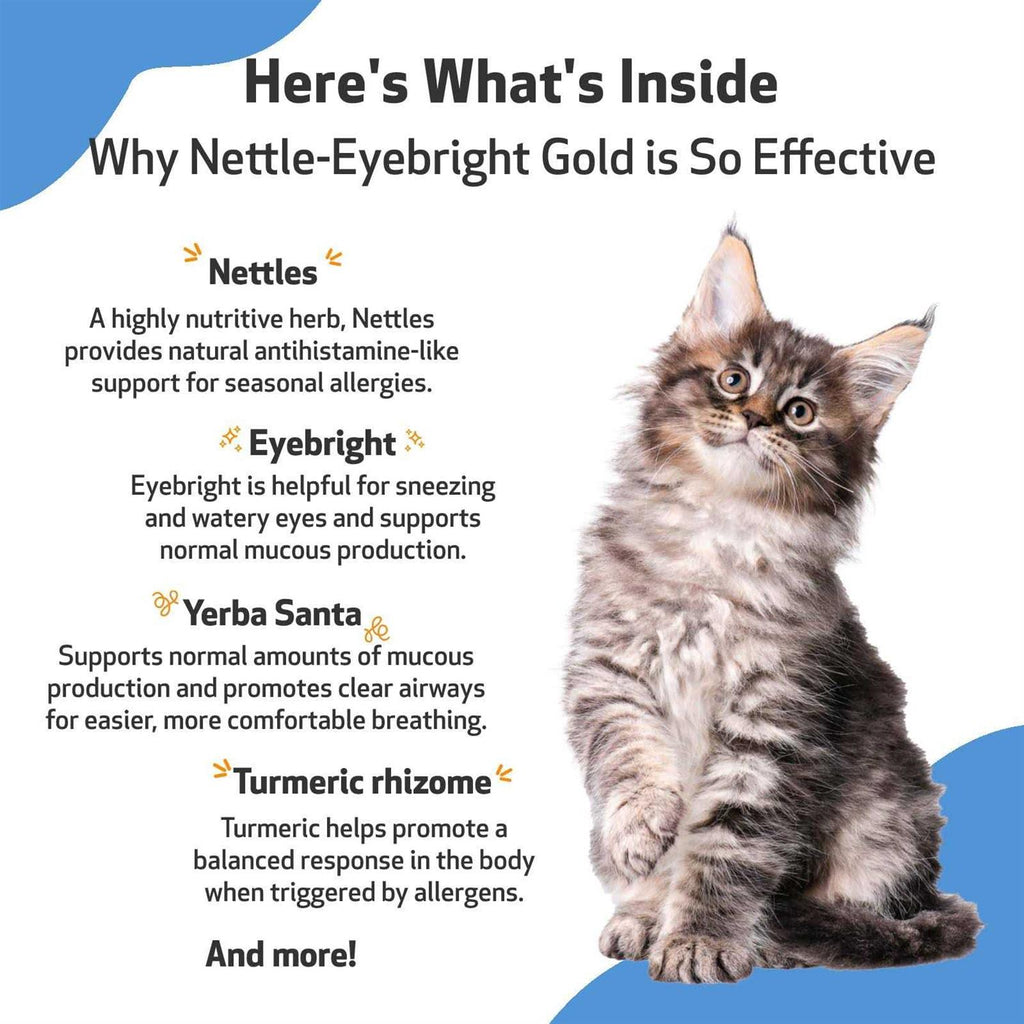 Nettle Eyebright for Dogs X110681