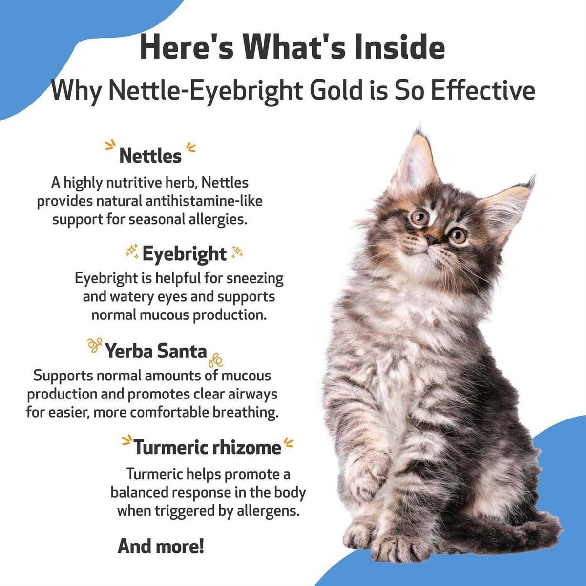 Nettle Eyebright for Dogs X110681