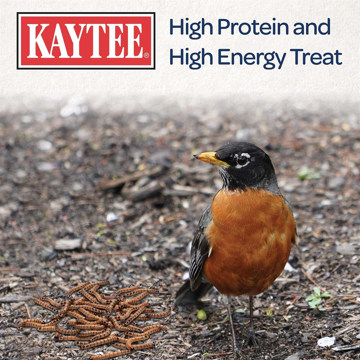 Mealworms Bird Food H289