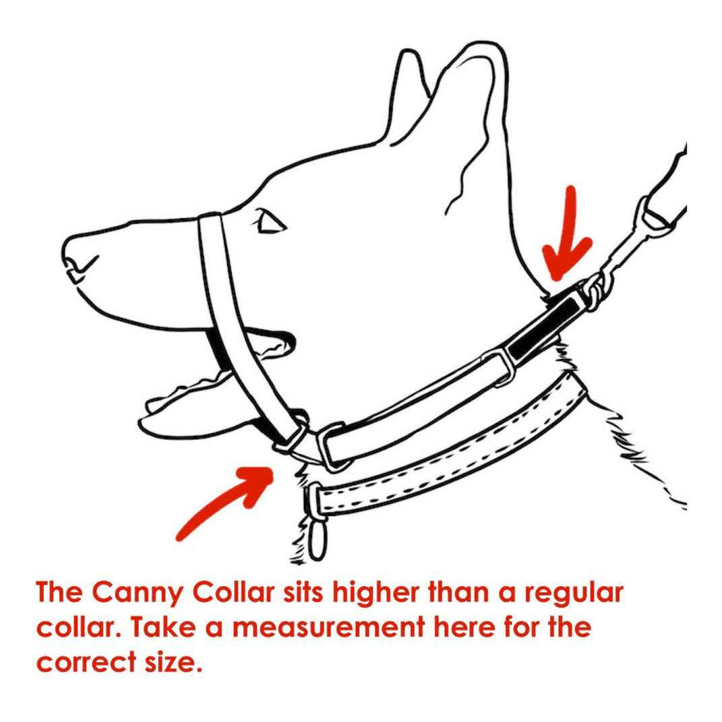 Padded Dog Training Head Collar P17423