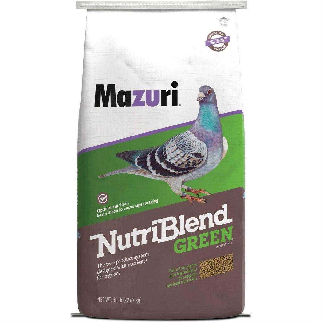 Green Pigeon Bird Food I311625