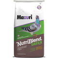 Green Pigeon Bird Food I311625