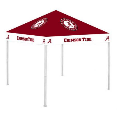 Canopy R901296