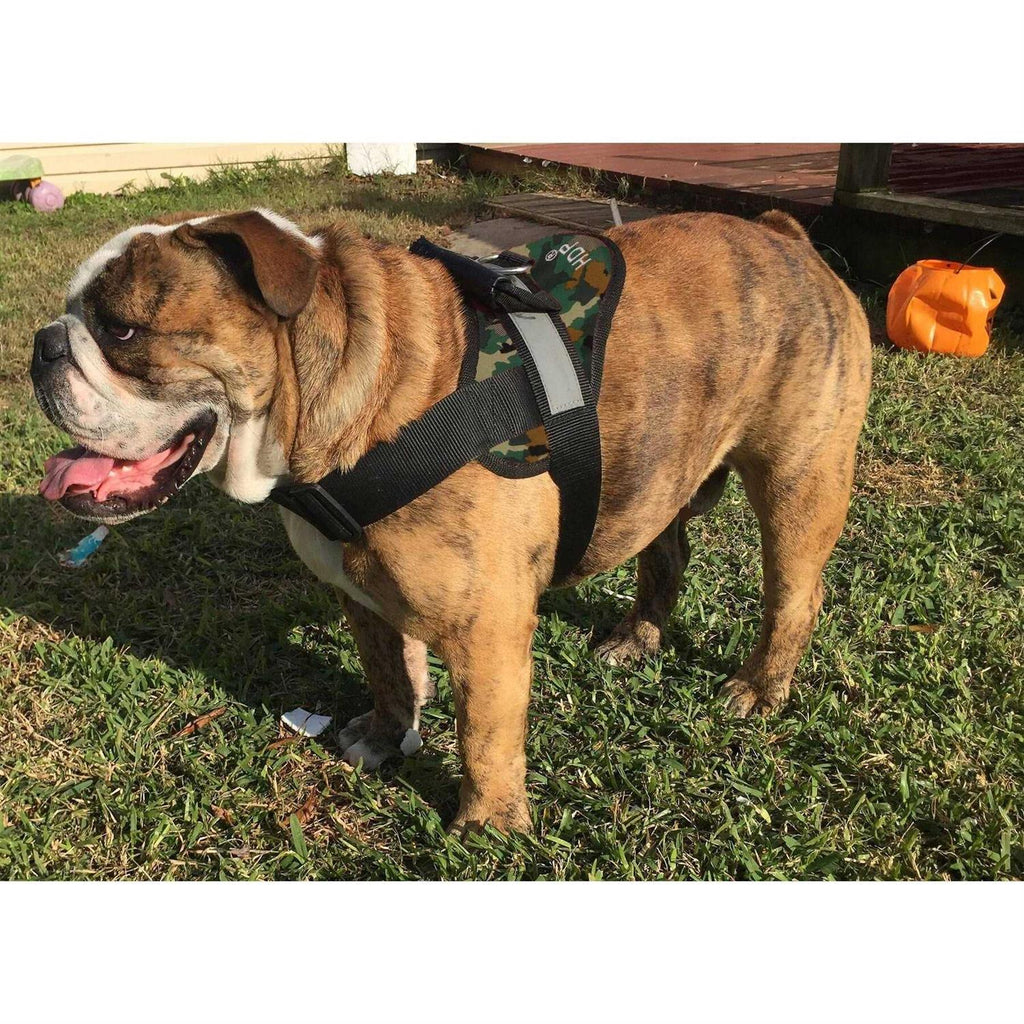 Big Dog Soft No Pull Harness Z491258