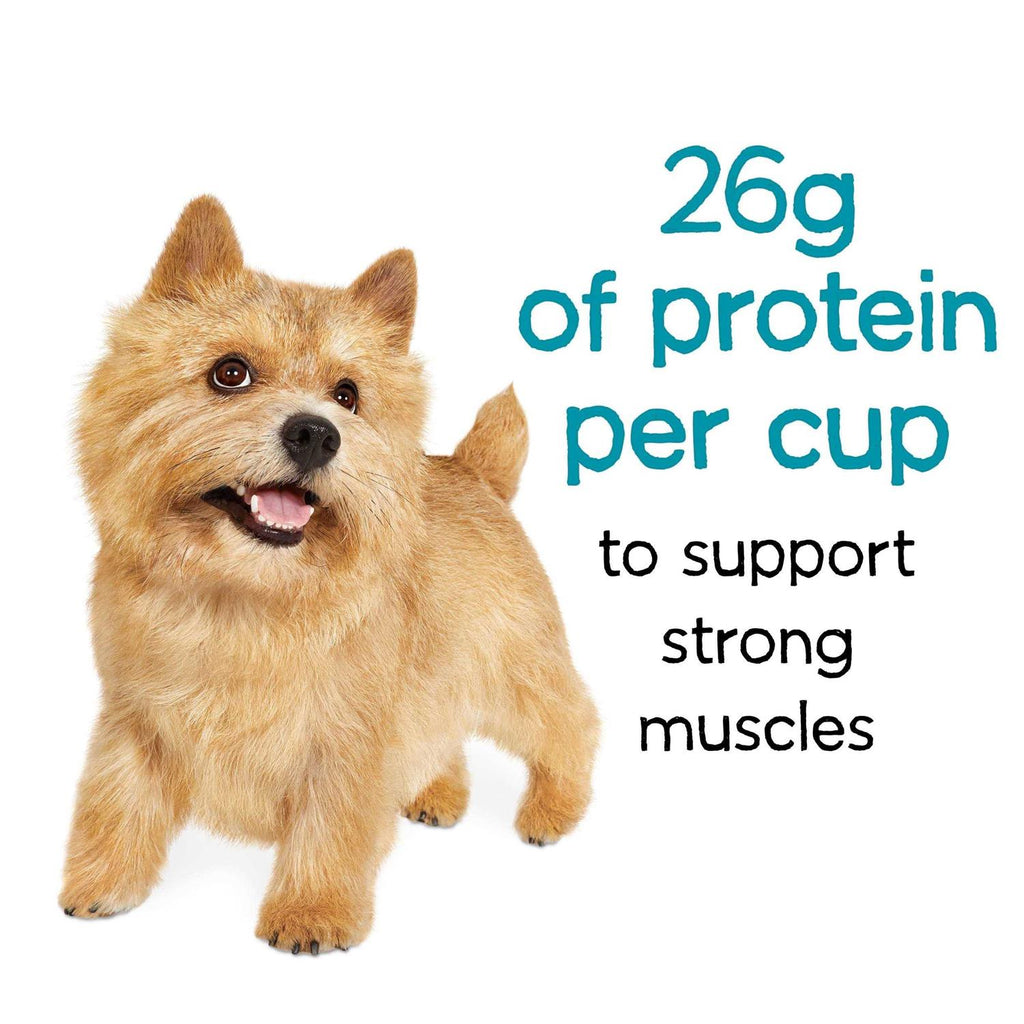 Beef Dry Dog Food S898375