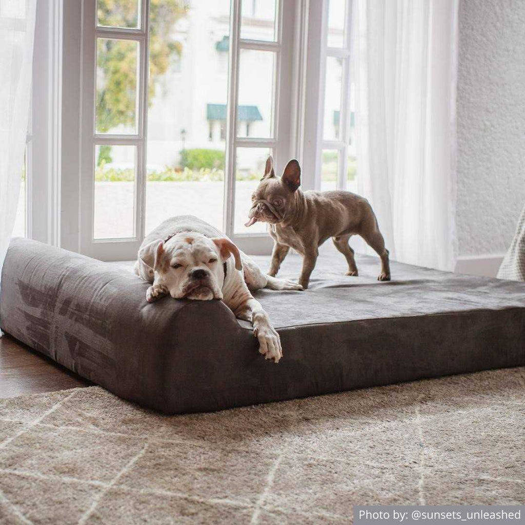 Orthopedic Dog Bed F251