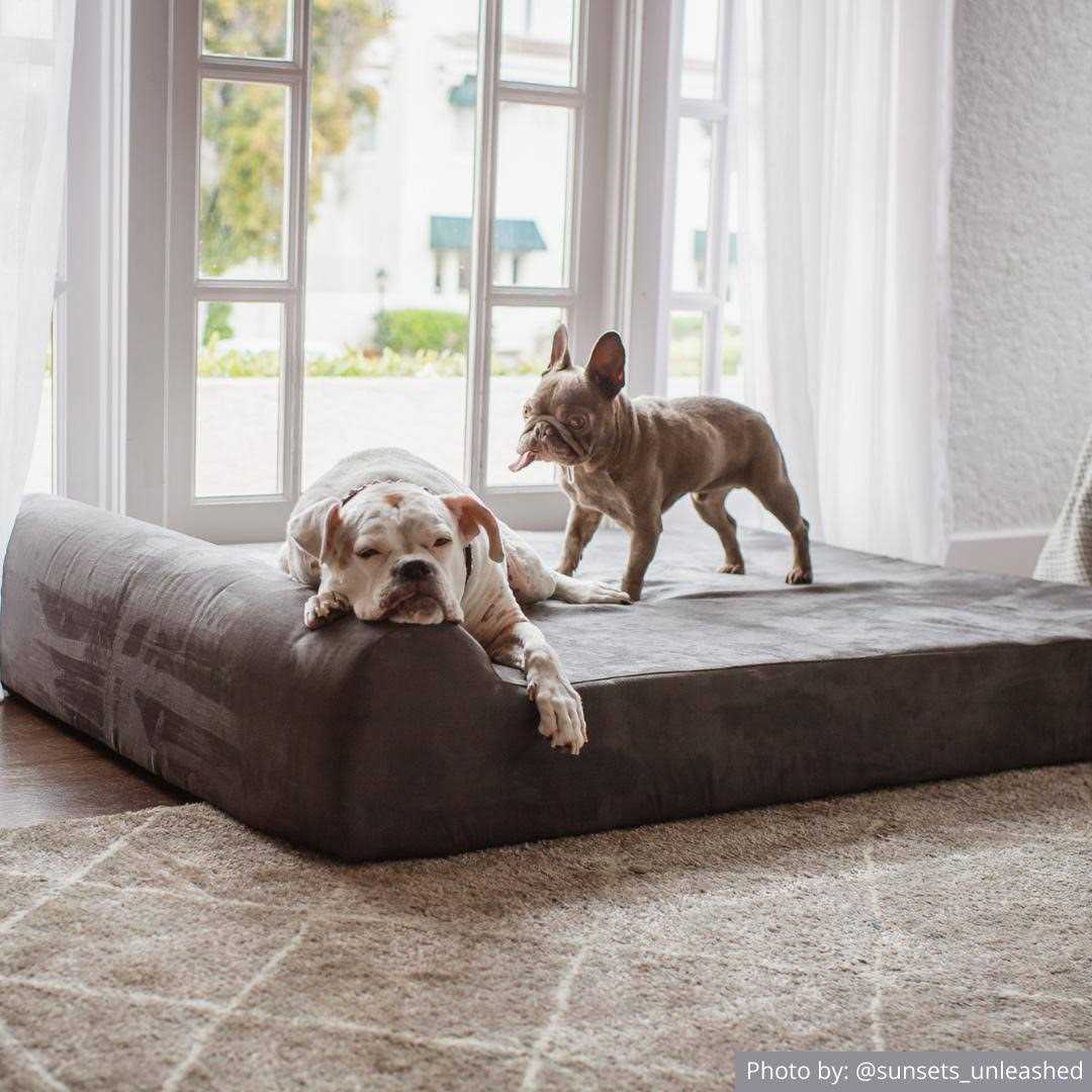 Orthopedic Dog Bed F251