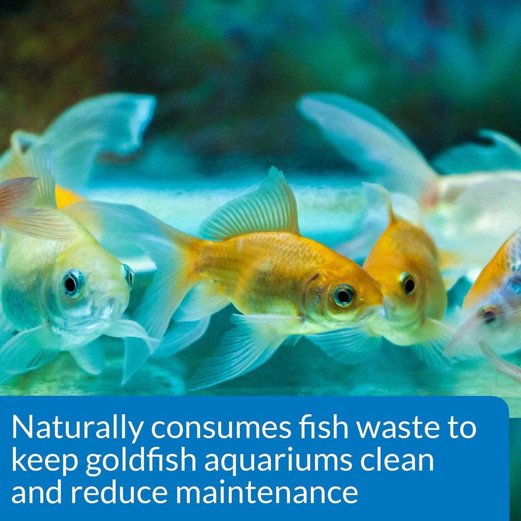 Aquarium Water Conditioner M725