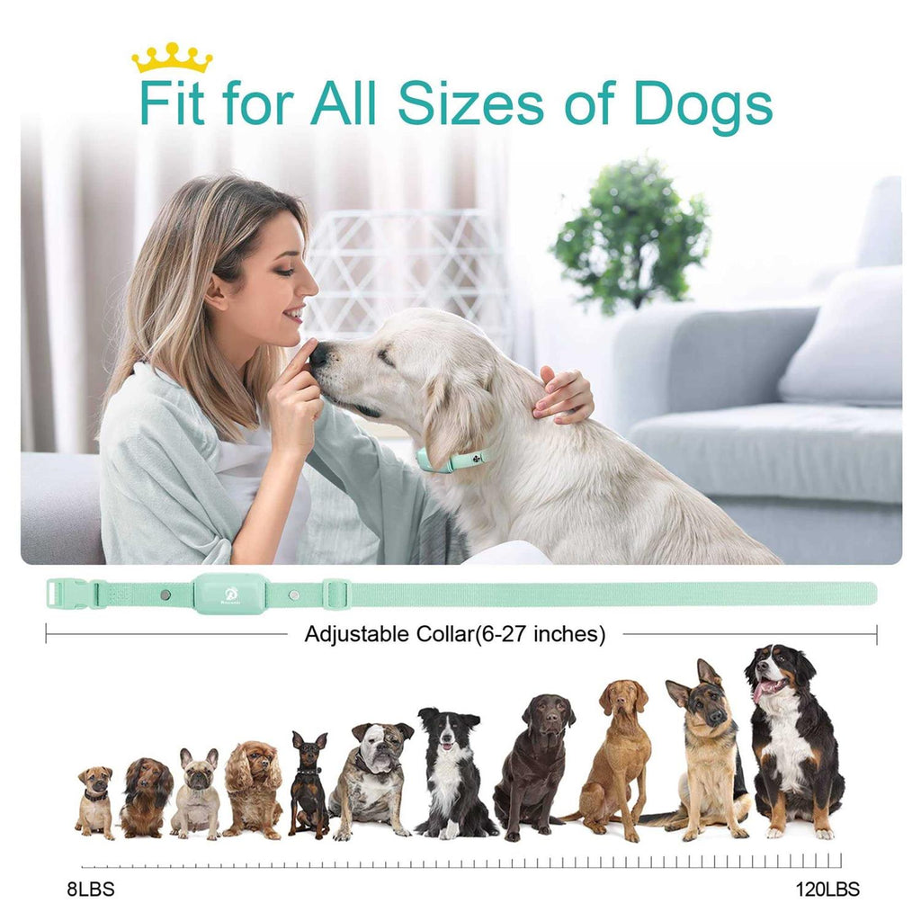 Waterproof Rechargeable Electric Dog Training Collar with Remote W751