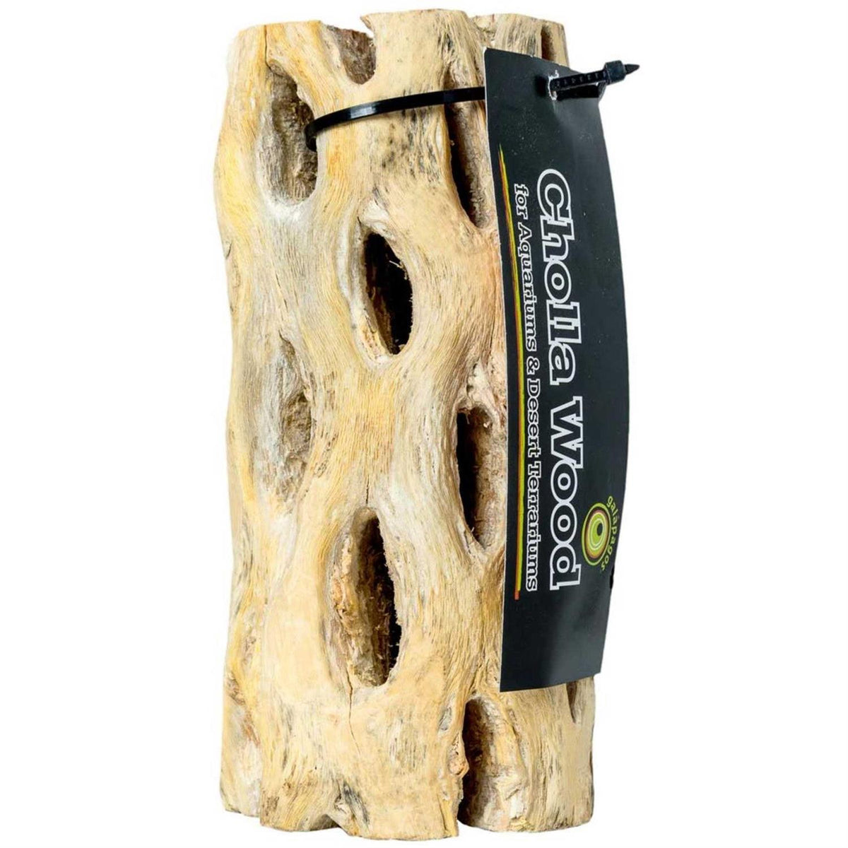 Cholla Wood C38717