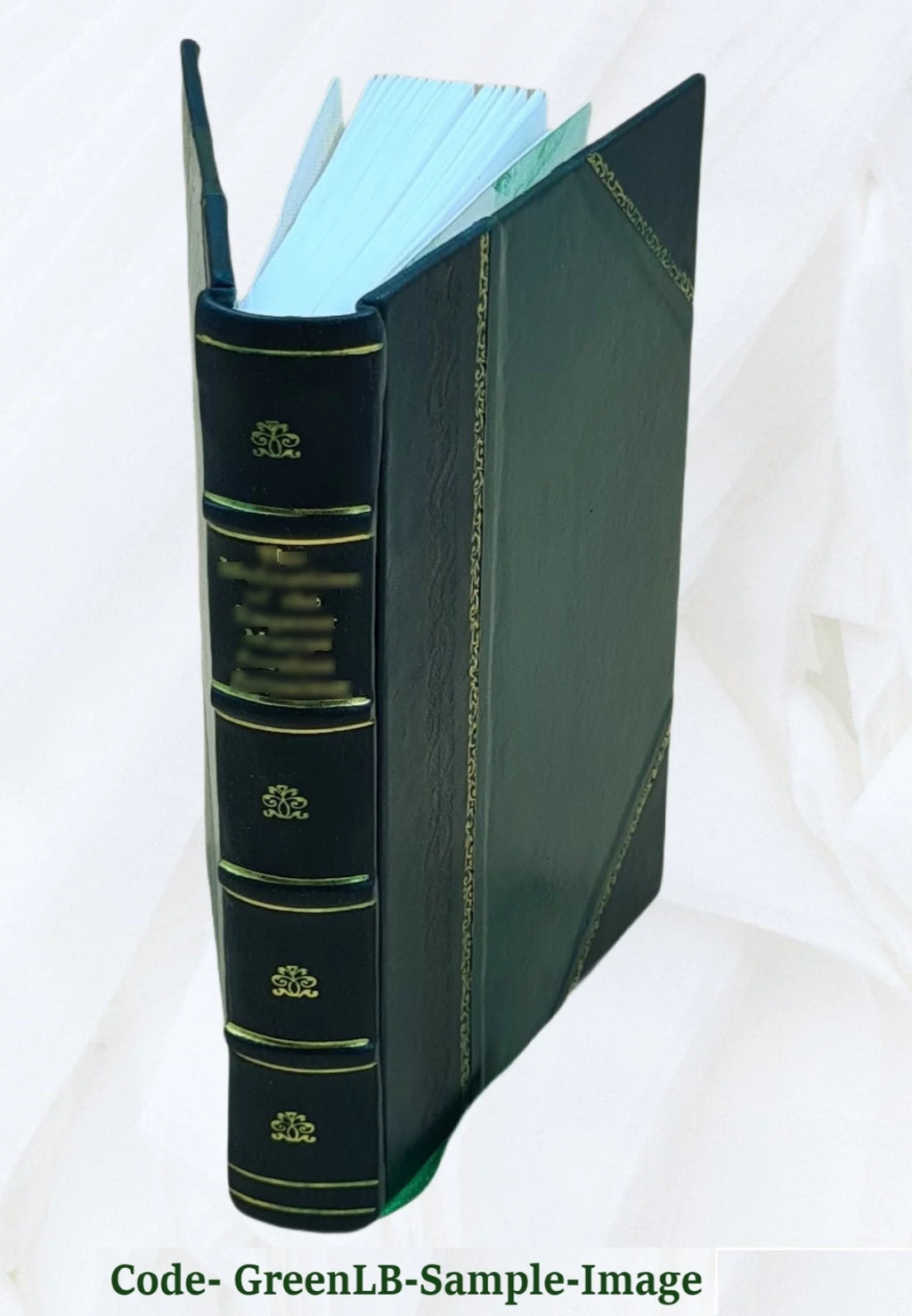 Leather Bound Book Q87654