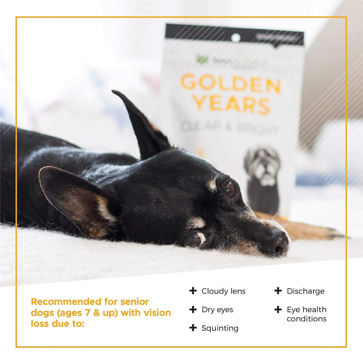 5.29 oz Supplement for Dogs K74767