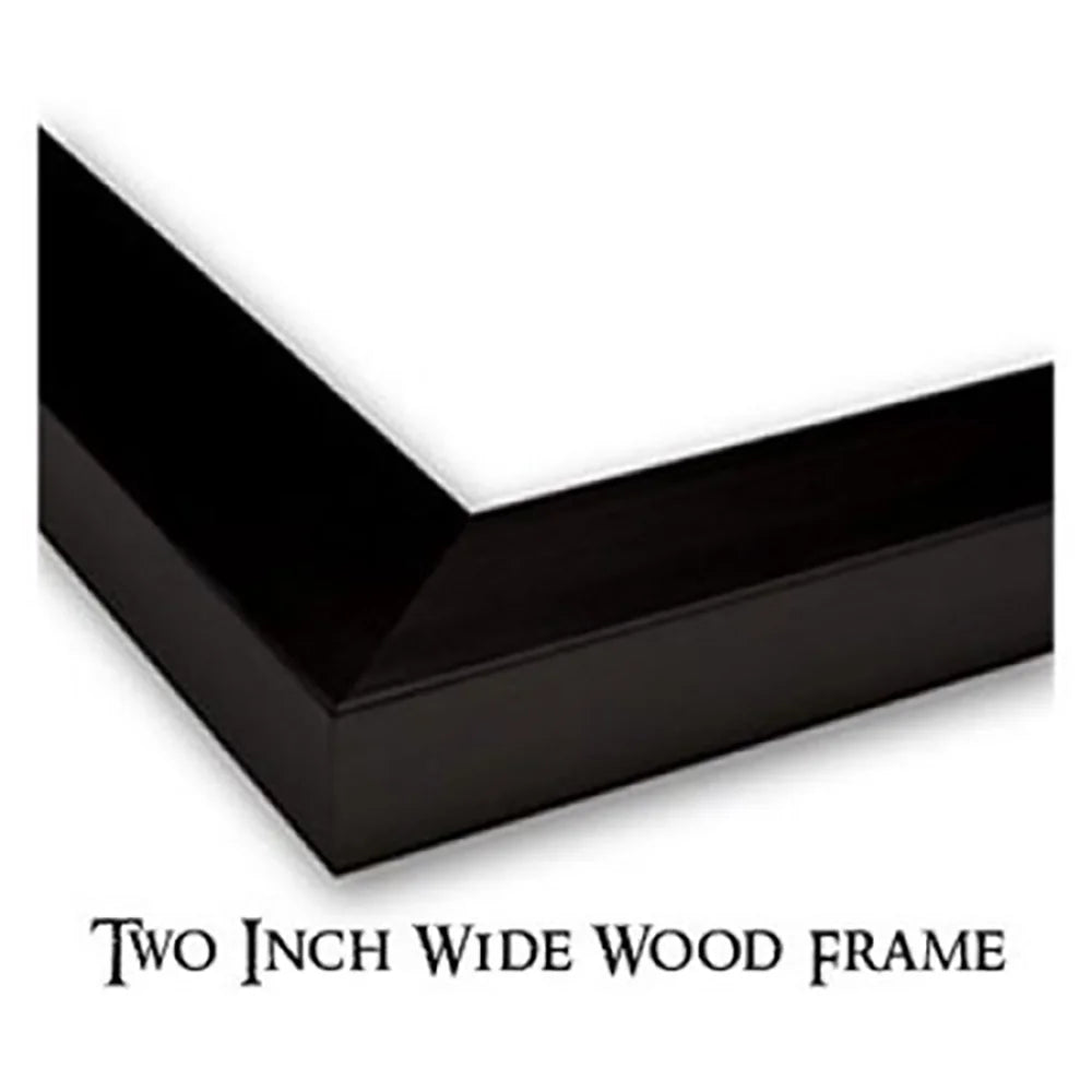 Black Modern Framed Museum Art Print T39209