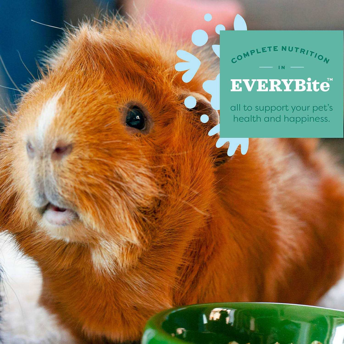 Senior Guinea Pig Food D69475