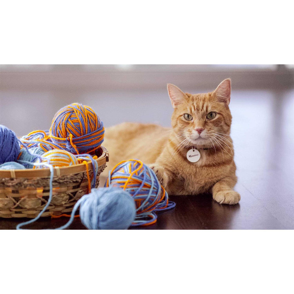 Indoor Complete Cat Food R558