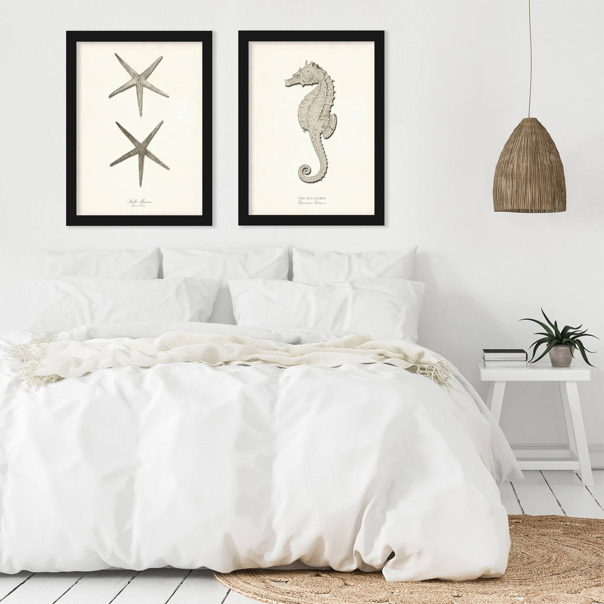 Greige Sea Horse 2 Piece Black Framed Print Set R213134