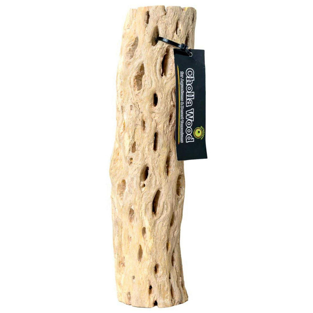 Cholla Wood C38717