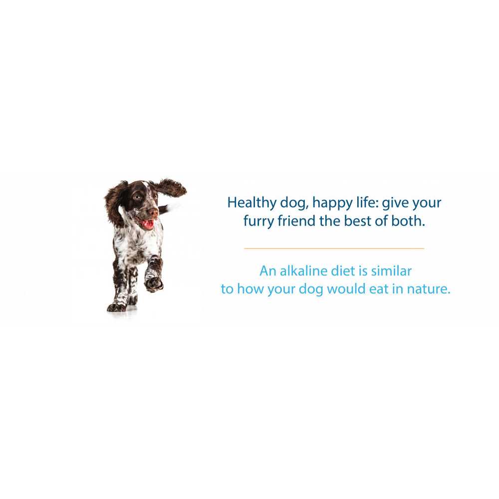 Grain Free Dry Dog Food A538710