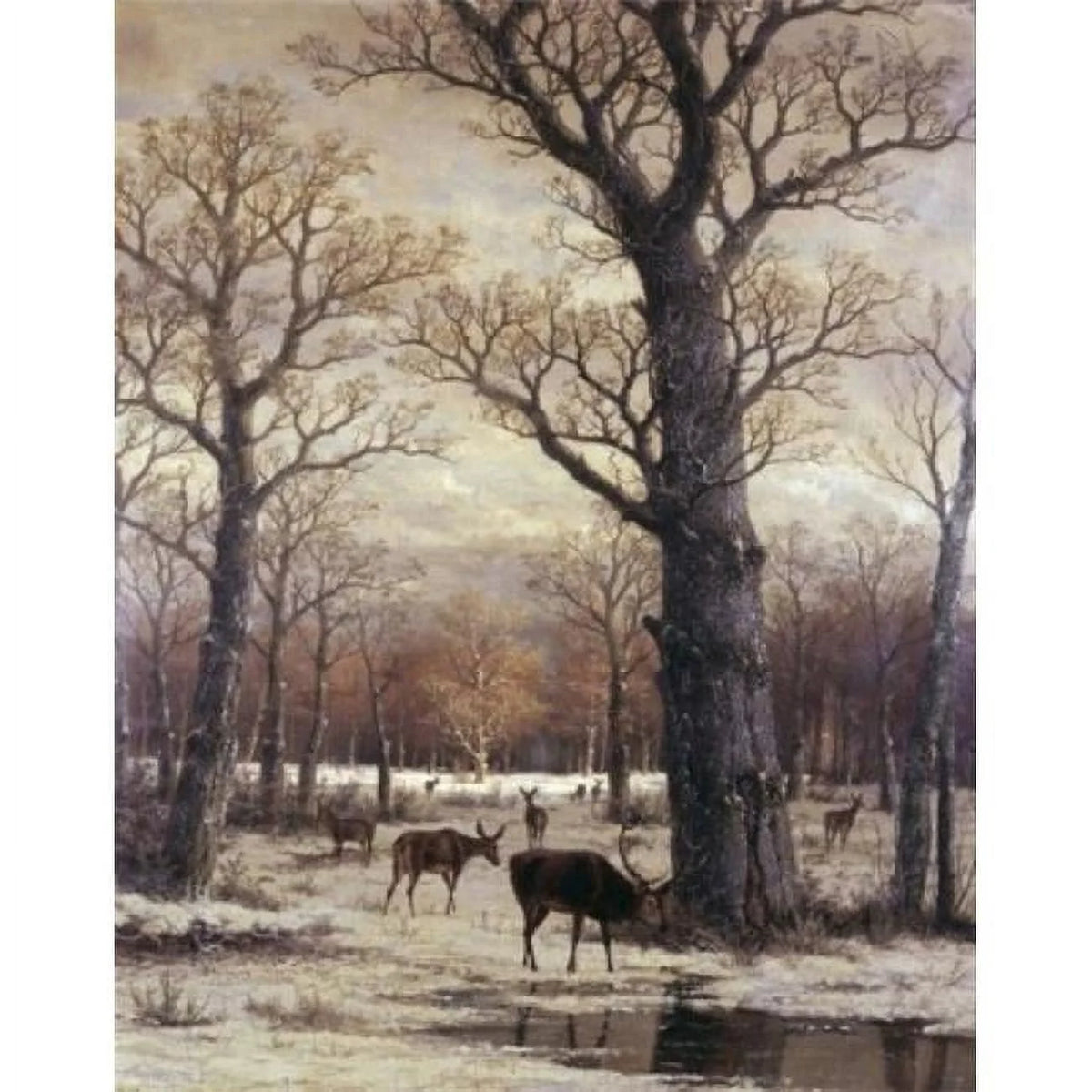 Deer Foraging Winter Poster Print 18 x 24 in. S852194