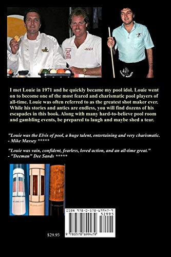 Pool Cue Z439