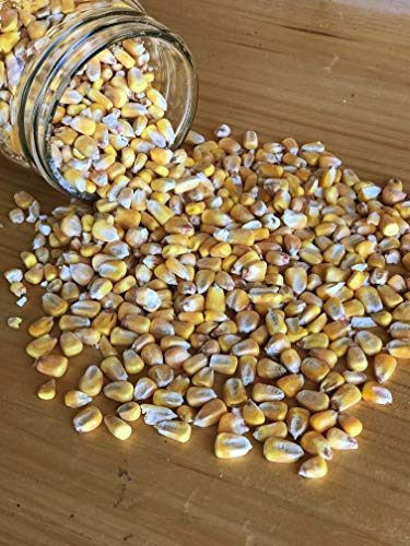 Whole Corn (50 lb) J4928