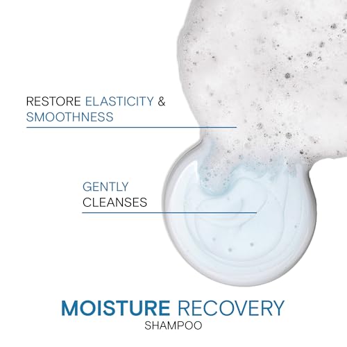 Moisturizing Shampoo & Conditioner with Jojoba Oil & Shea Butter G816459
