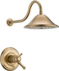 Champagne Bronze Shower Trim X7828