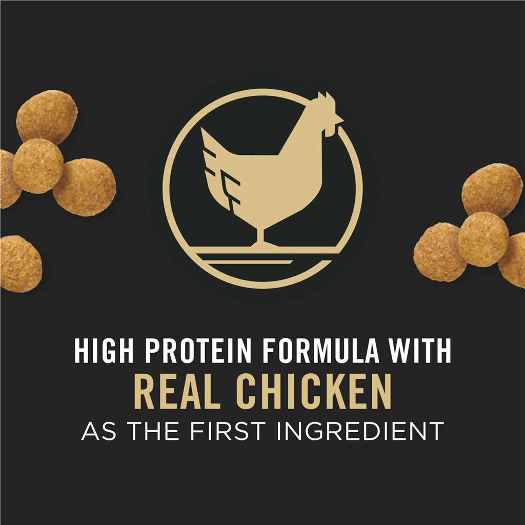 Chicken & Rice Formula Large Breed Dry Puppy Food B79922