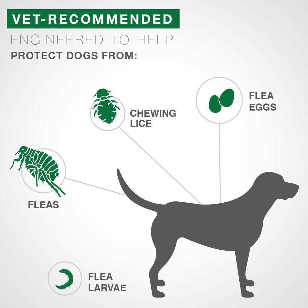 Advantage II for Dogs D389