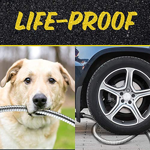 100 Ft Stainless Steel Garden Hose with Nozzle Z366