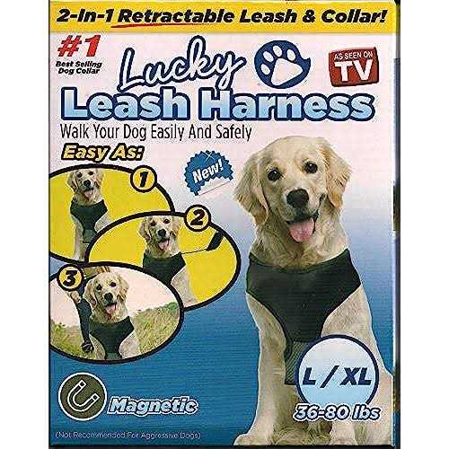 Magnetic Harness & Retractable Leash H74422