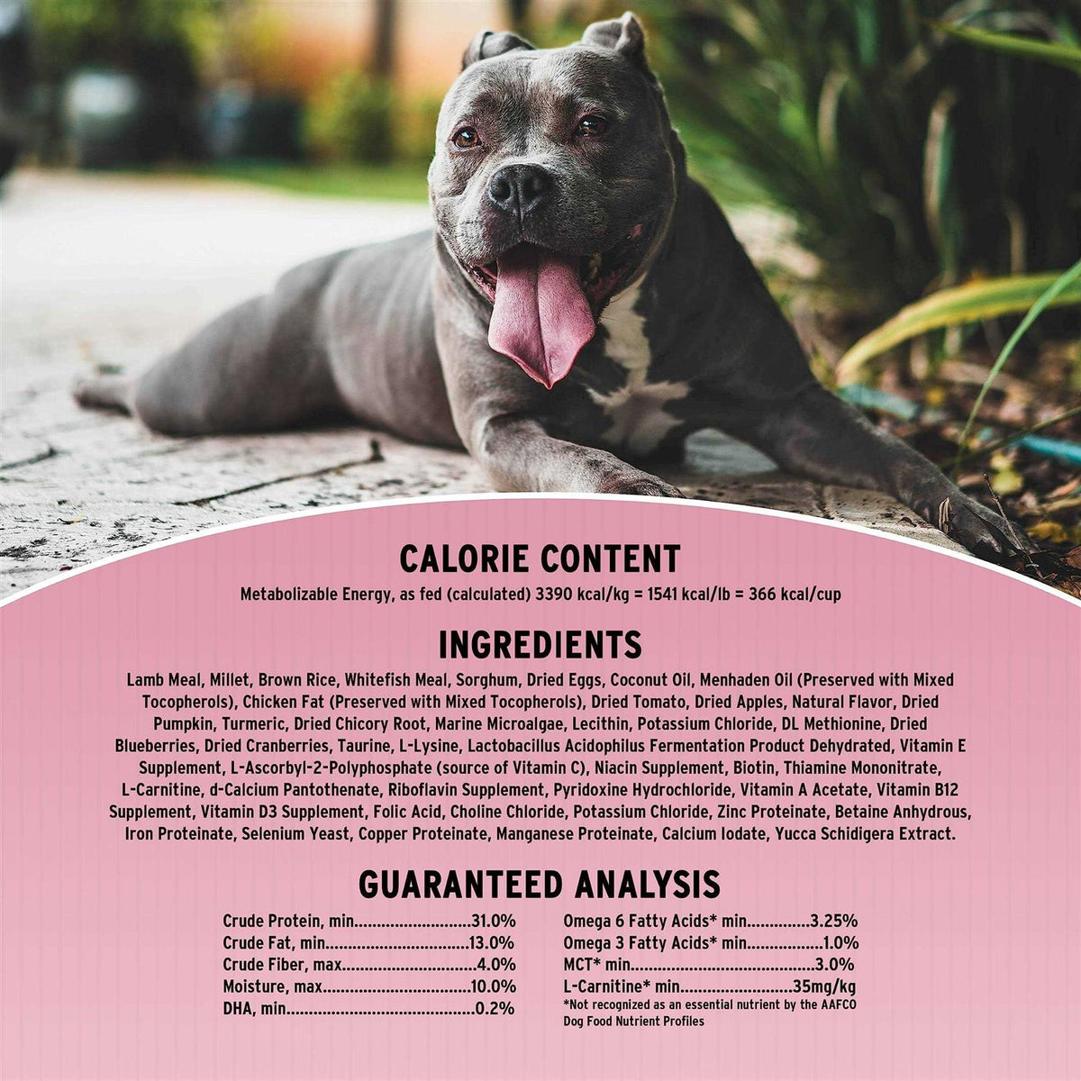Sensitive Skin & Stomach Dry Dog Food T1052