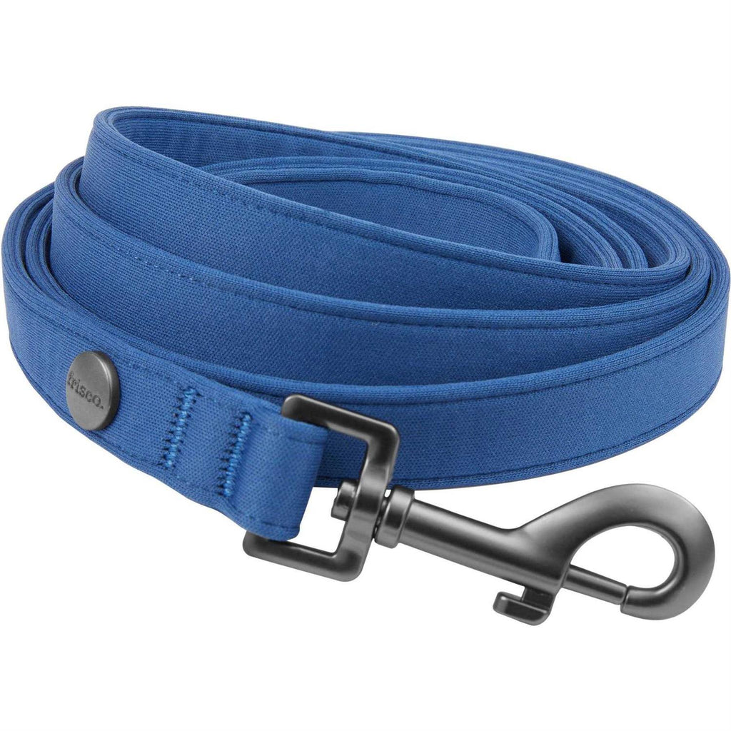Padded Dog Leash O924