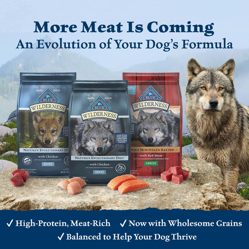 High Protein Chicken Grain-Free Dry Dog Food S270995