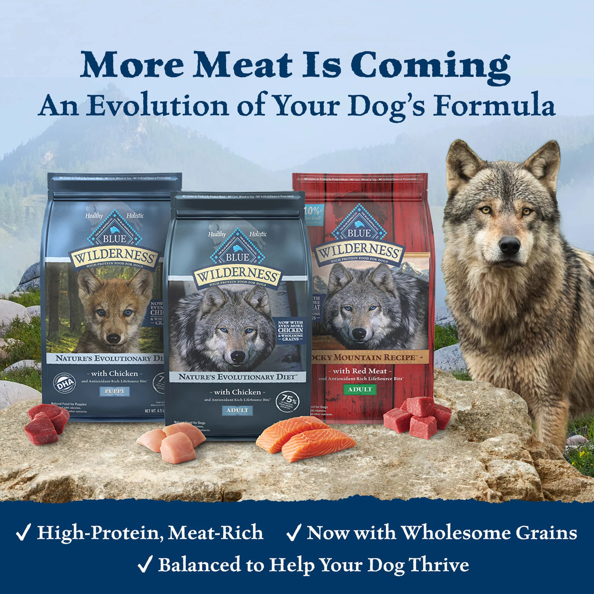 High Protein Chicken Grain-Free Dry Dog Food S270995