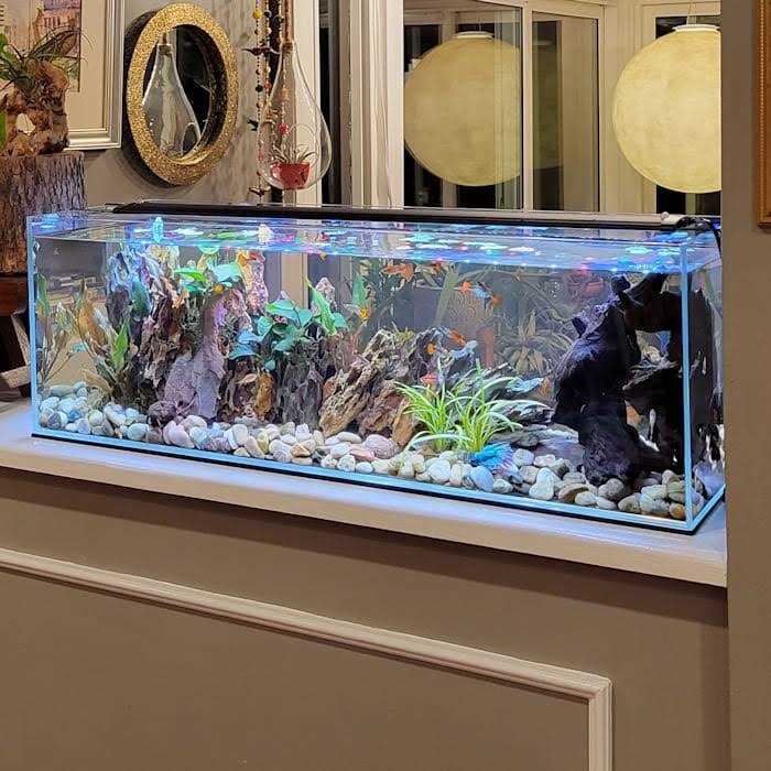 Crystal Bookshelf Aquarium E64186