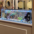 Crystal Bookshelf Aquarium E64186