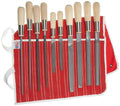 10 Piece All Purpose Hand File Set with Handles V196