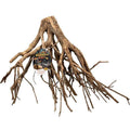 Mangrove Root B64731