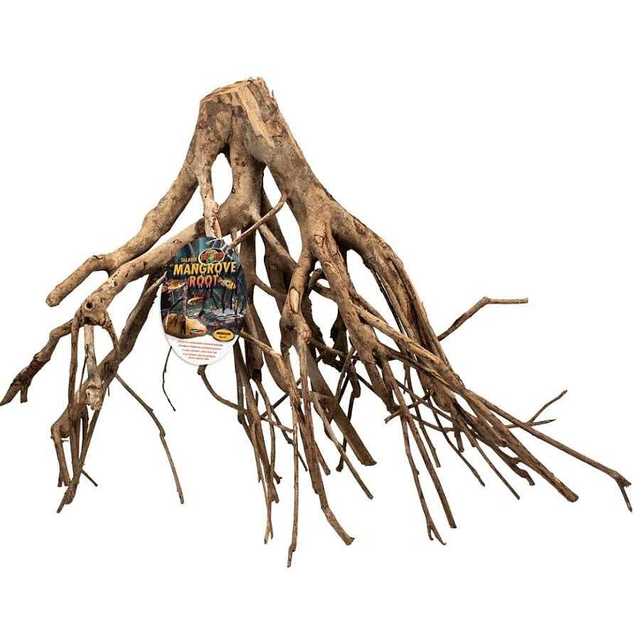 Mangrove Root B64731
