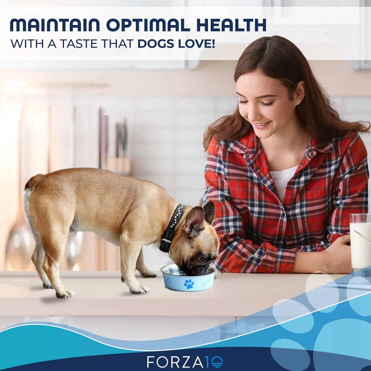 Wet Dog Food 12 pack G4870