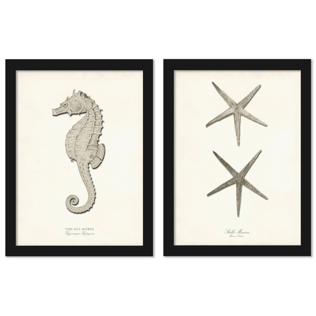 Greige Sea Horse 2 Piece Black Framed Print Set R213134